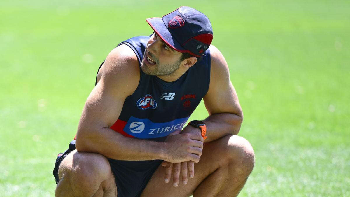 breakingDemons star Petracca suffers cracked rib at training