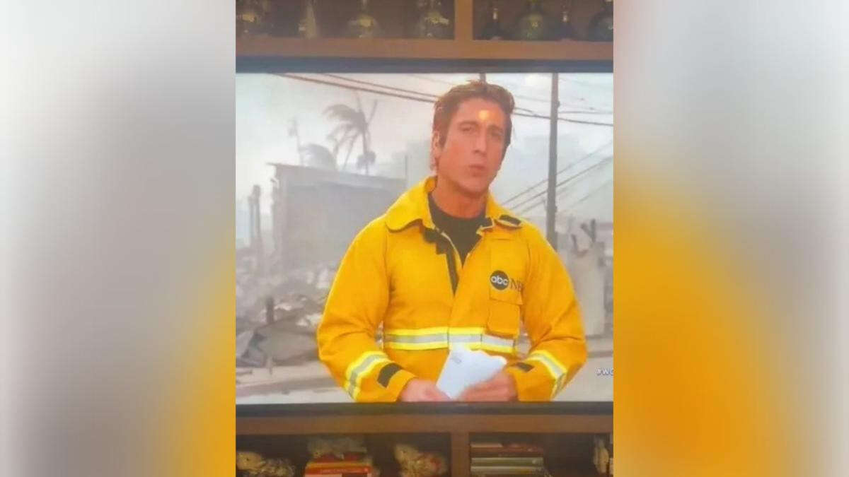 TV reporter mercilessly mocked over shameless wildfire act