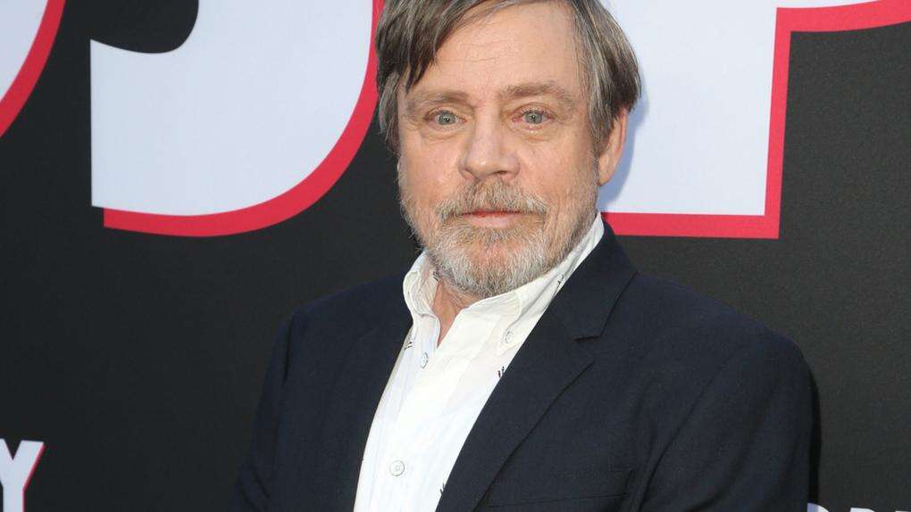 Mark Hamill's house 'amazingly' survives Los Angeles wildfires