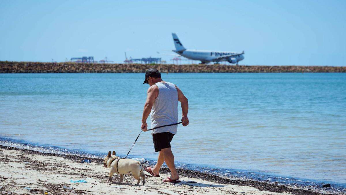 Popular beach tested over cancer concern