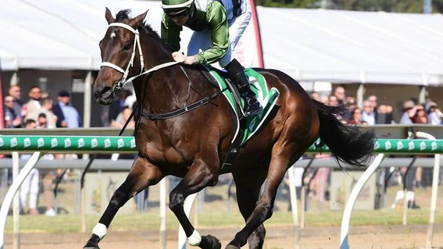 Connections pull surprise move with exciting stayer