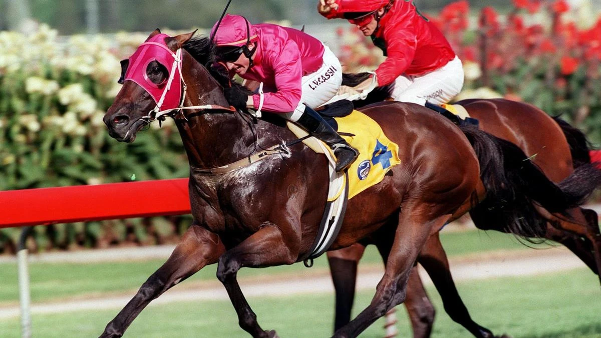 Canterbury preview: Confiscate can seize a debut win