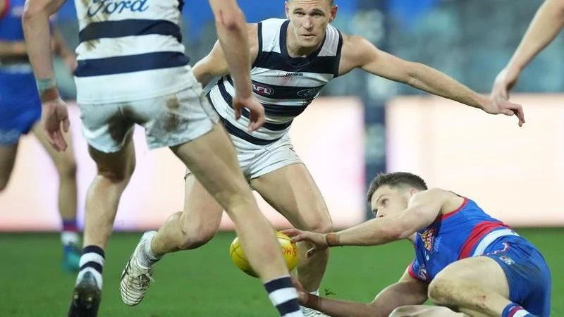 Cats dismiss criticism of skipper Selwood