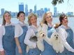Perth dog owners spending thousands pampering their pooches