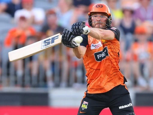 The ex-Scorcher who could be back in orange this year