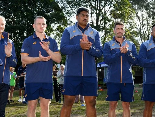 Wallabies giant rates Lions series as career pinnacle