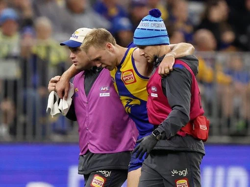 breakingInjury fears for Allen as co-captain helped from ground
