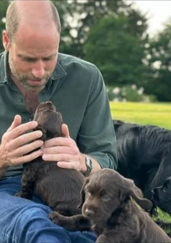 Royals celebrate Prince William's birthday with new photo