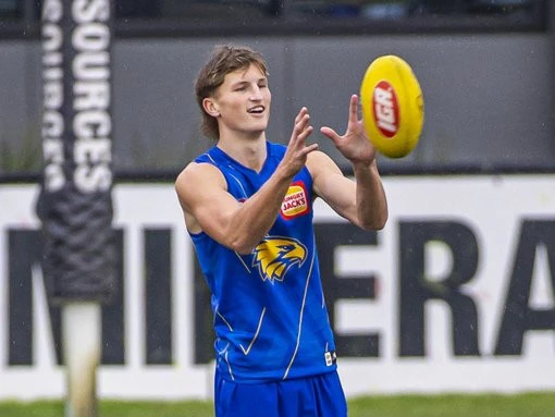 breakingShanahan set to take flight against Pies