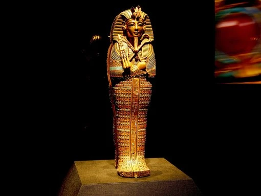 Ancient Eyptian mummy fungus could be secret to powerful new cancer drug