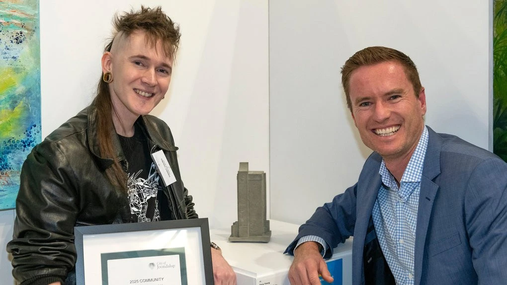 Forbidden skate ramp sculpture wins Community Art Exhibition