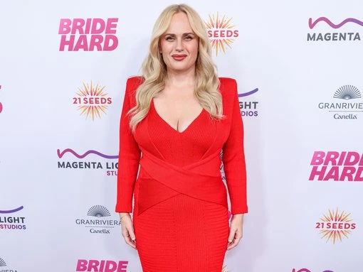 Rebel Wilson targets more action comedy parts after Bride Hard