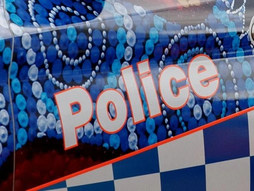 Teen charged after cops pelted, rammed