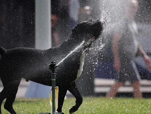 Warnings as UK bakes in the first heat wave of 2025