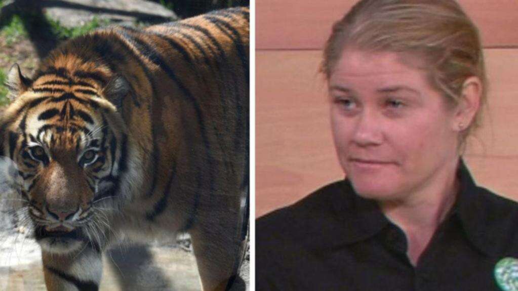 Update on woman attacked by tiger