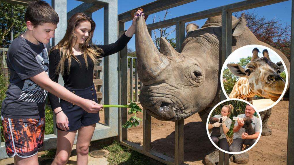 Perth Now exclusiveHow you can get your hands on free tickets to Perth Zoo