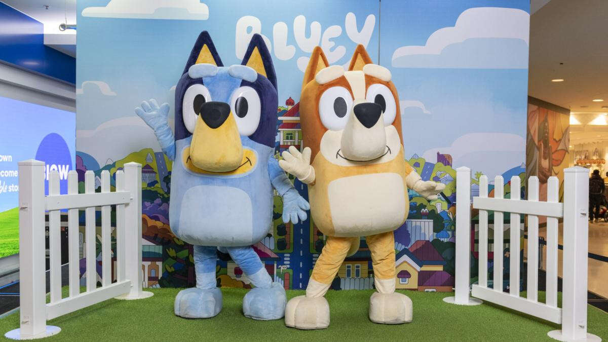 How you and the family can MEET Bluey & Bingo in Perth