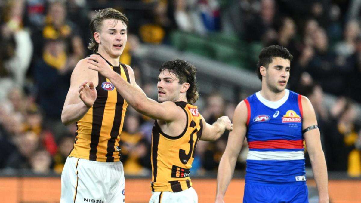 Hawthorn stun Bulldogs to book spot in AFL semi-final