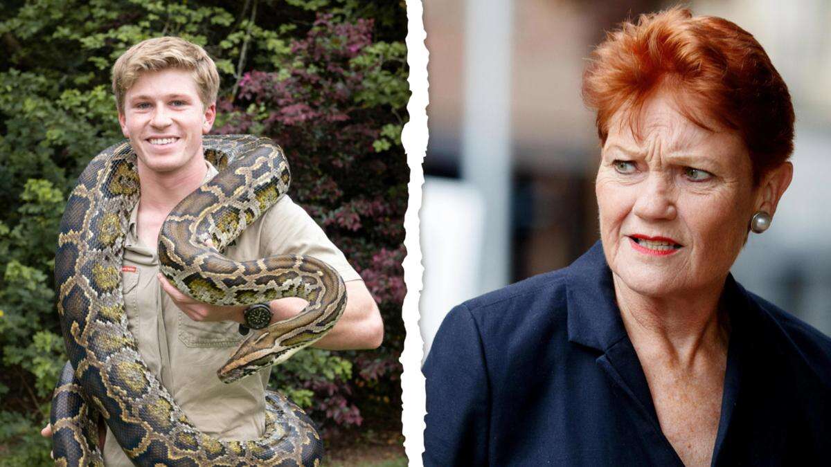 Robert Irwin threatens to sue Hanson over cartoon