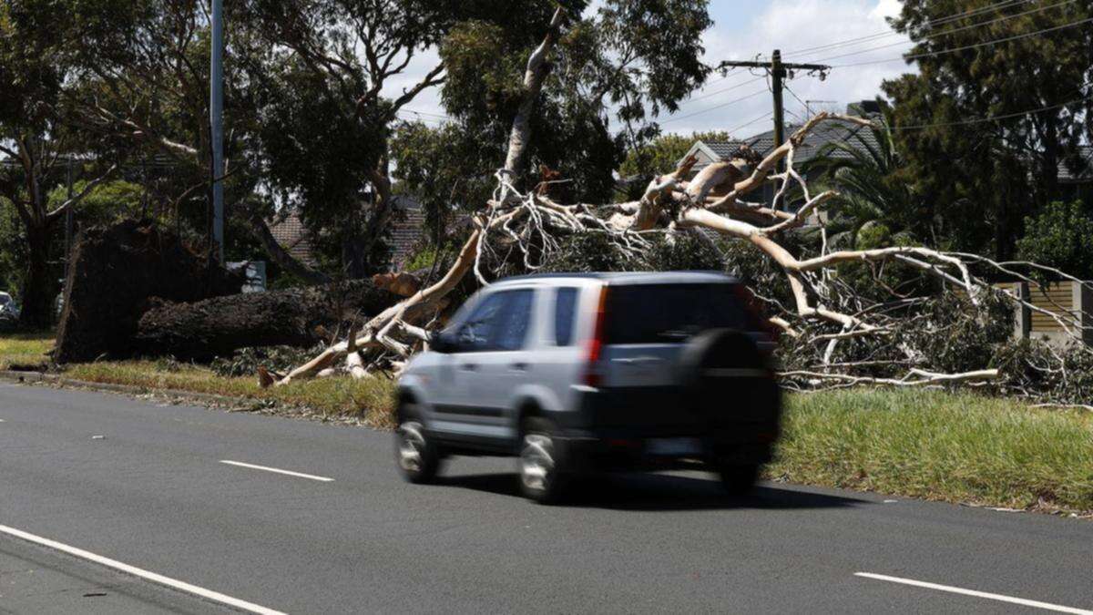 Three states on alert over wild storms