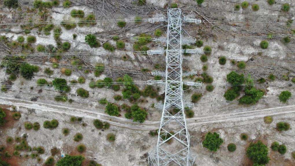 White car seen in area before transmission tower destroyed