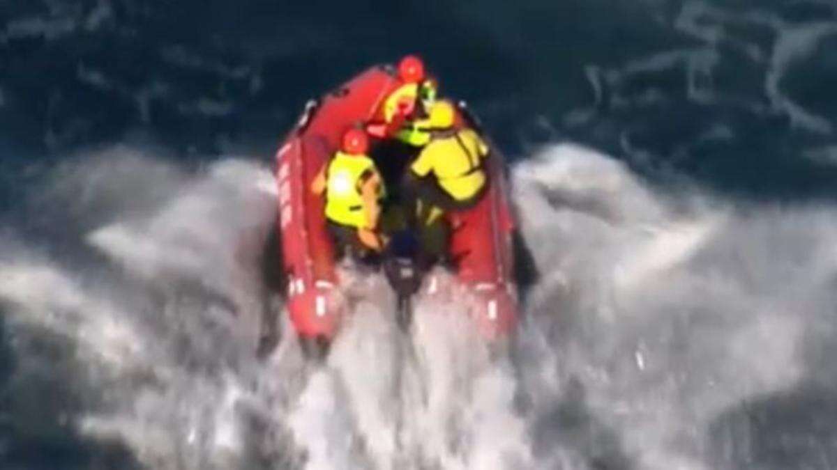 Rescue team tries to save trapped whale