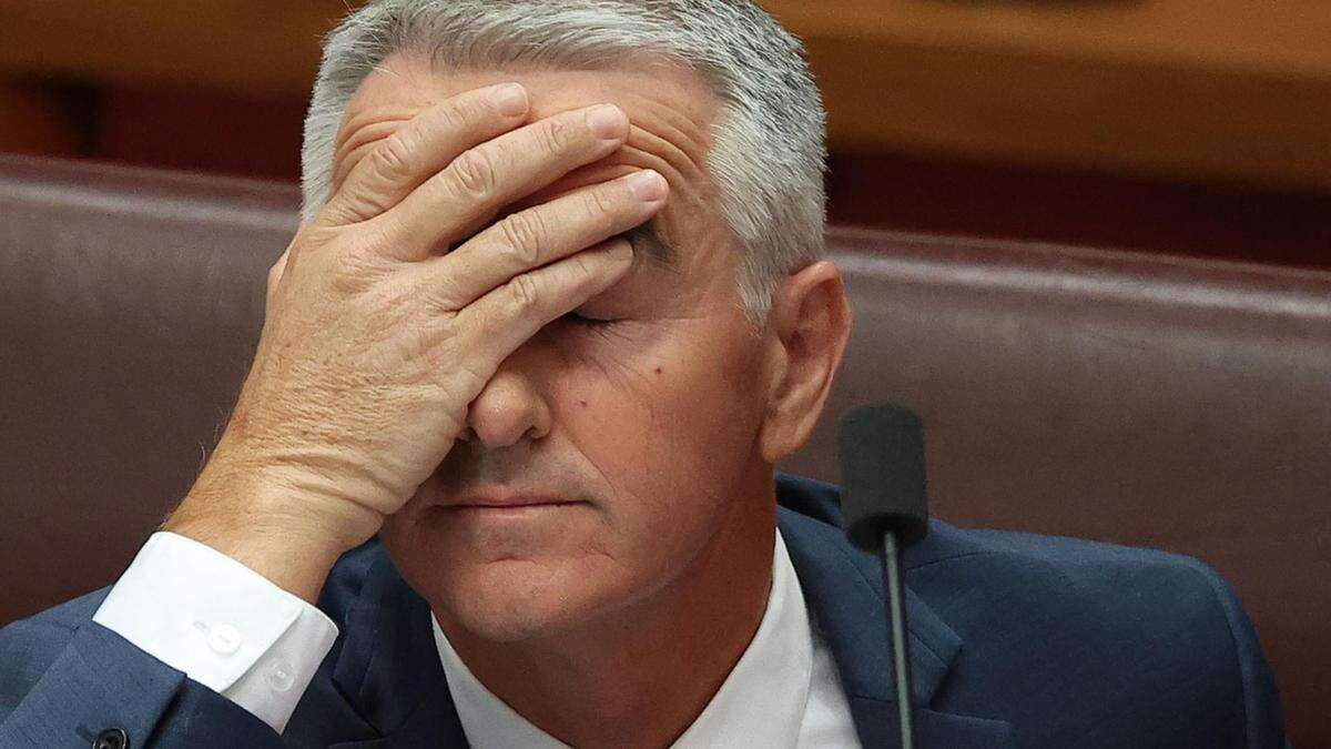 ‘Have a crack’: Senator sensationally quits