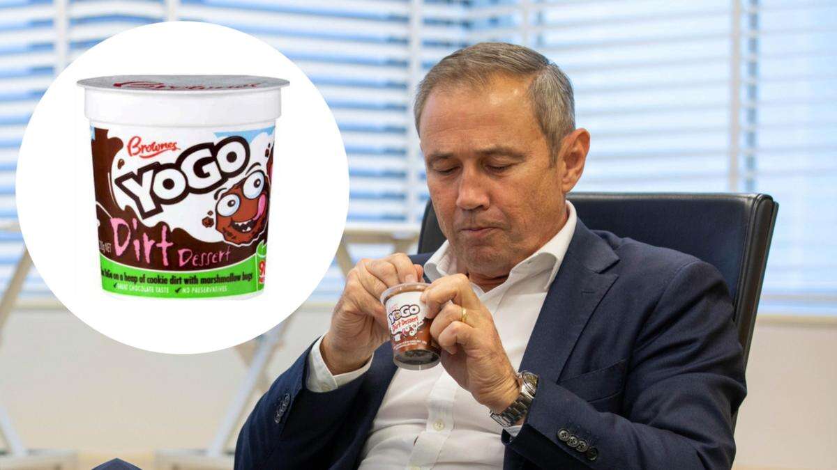 Iconic childhood snack Dirt Dessert Yogo’s return confirmed