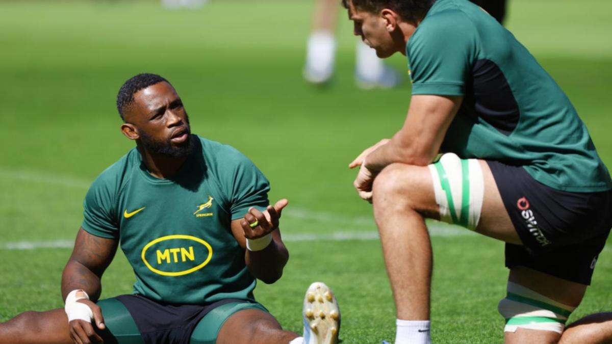 Kolisi lauds Springbok depth ahead of New Zealand clash