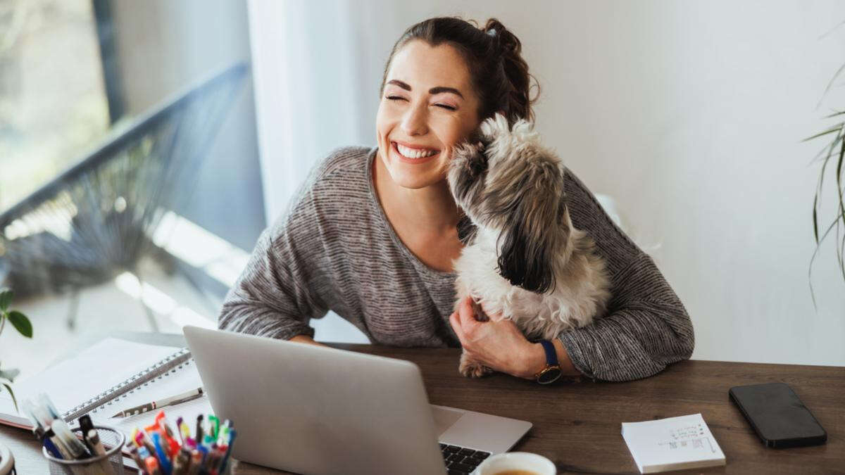 Do we really want pets in the office?