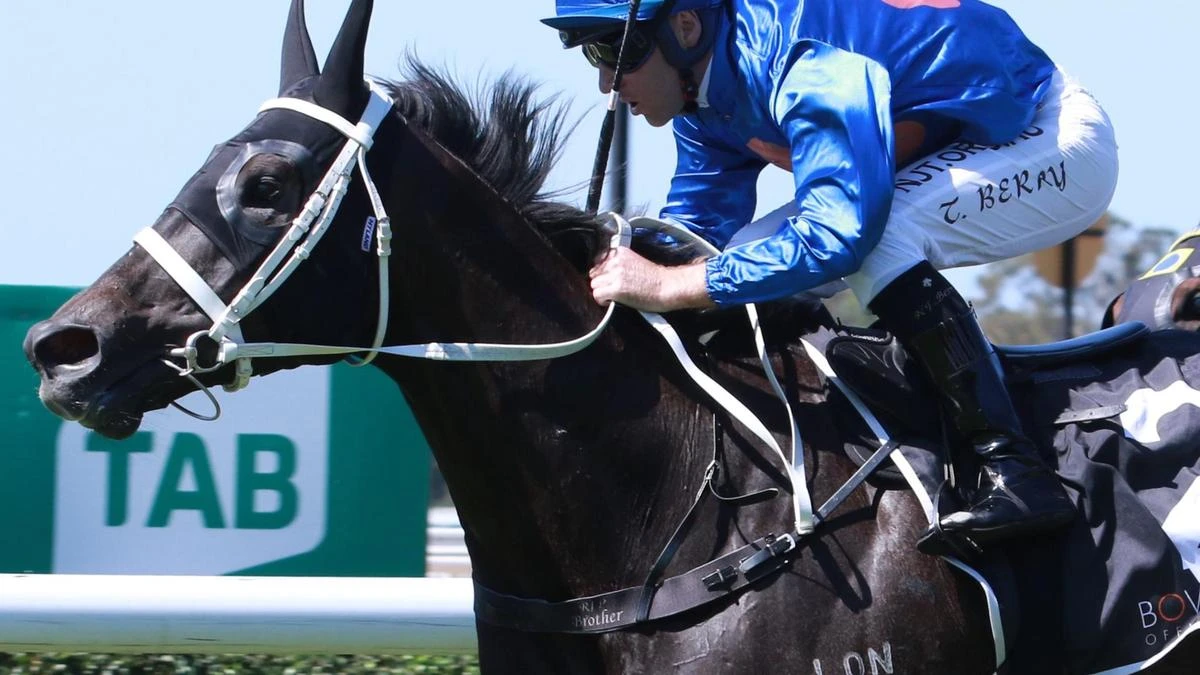 Ray and Duff: Waller and J-Mac to crack the Code