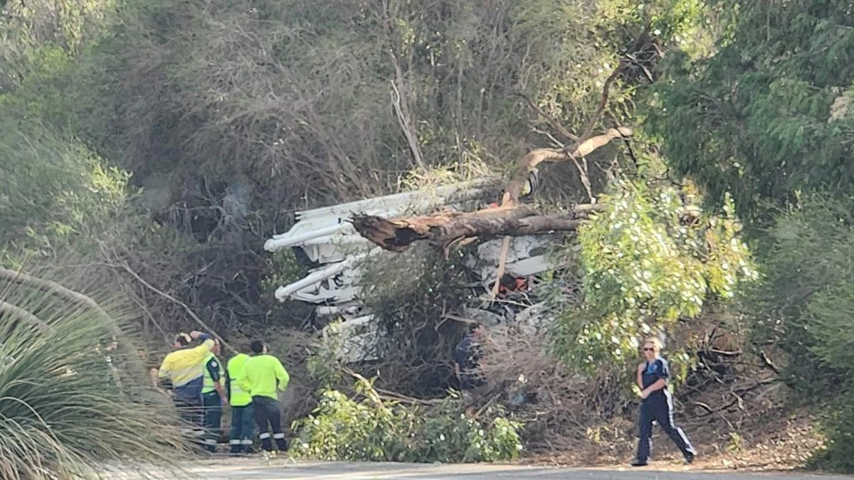Traffic chaos as truck crash causes tree to block road
