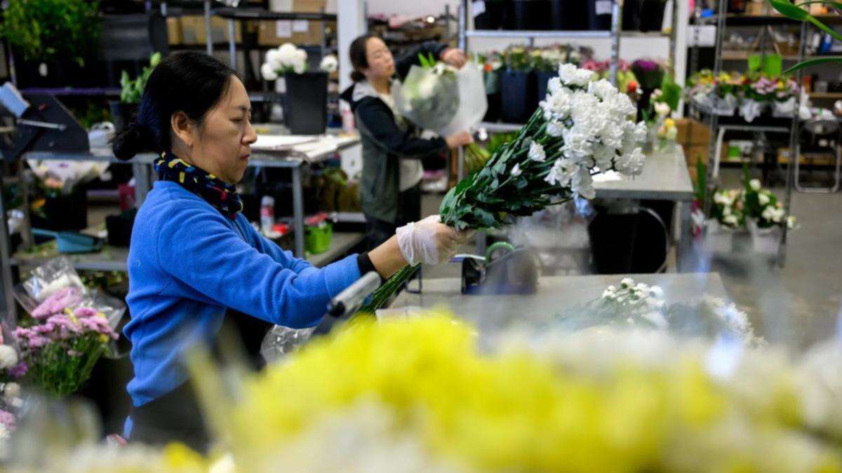 Rising costs won't stop that special bouquet for mum