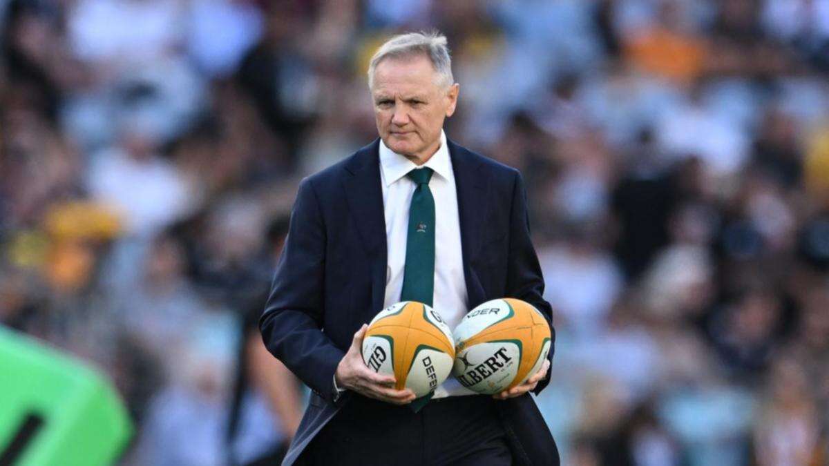 Timeline set for Schmidt to finalise Wallabies future