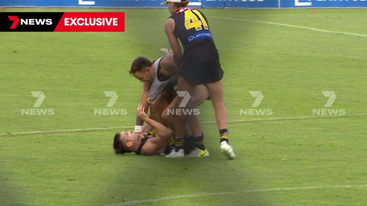 Tigers tempers flare in training bust-up