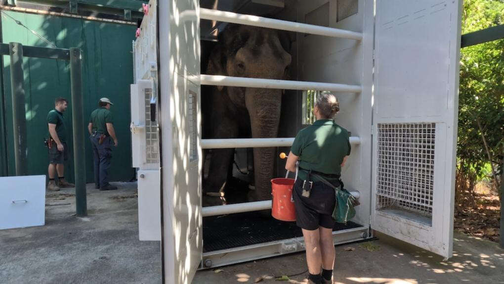 Operation Permai drop: Beloved Perth elephant leaving WA