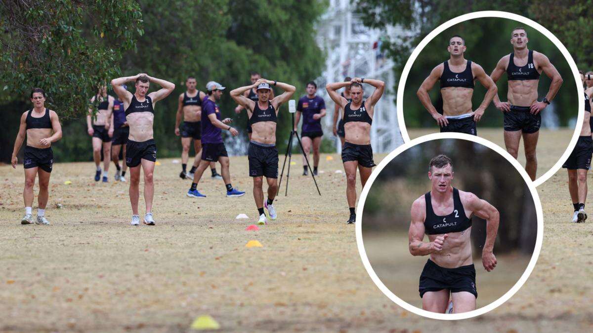 SEE THE PICS: Dockers sweat it out on Kings Park hills