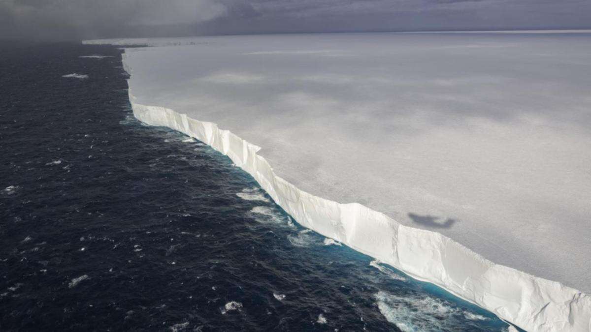 Ice wall heads to penguin-packed island off Antarctica