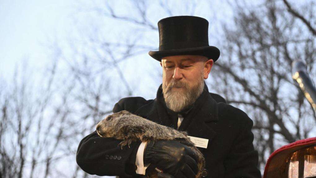 Punxsutawney Phil predicts more weeks of wintry weather