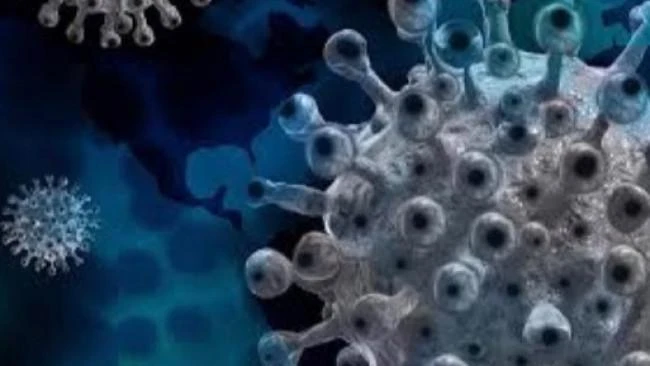 Long Covid brain fog could be down to leaky blood vessels