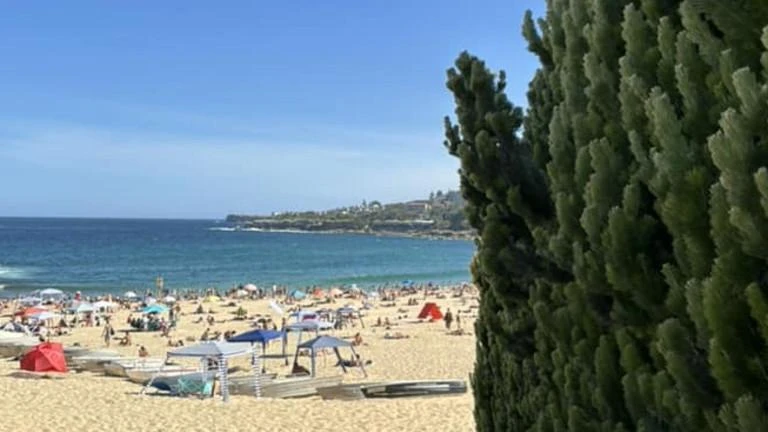 Why this photo sent suburb into meltdown