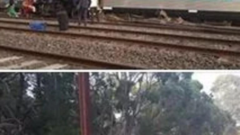 Deadly train derailment ‘avoidable’: court