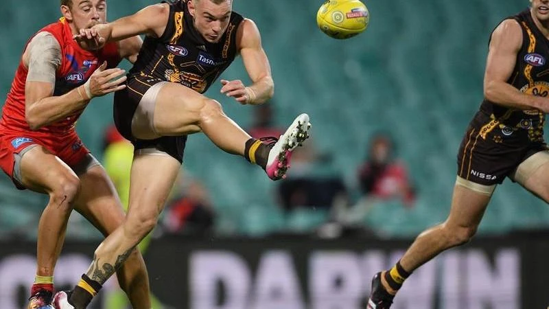 Hawks accept James Worpel's AFL suspension