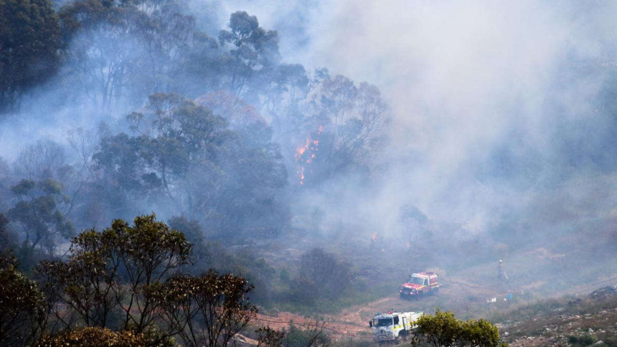 updatedFireys extinguish out-of-control bushfire near Albany centre