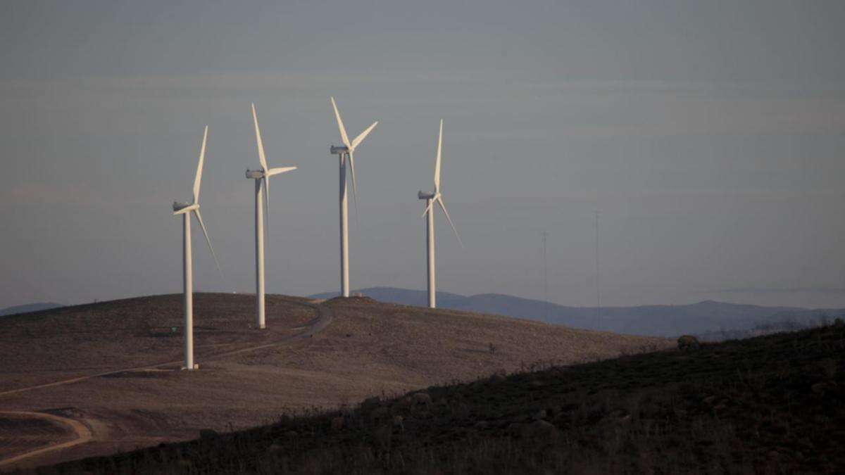 Billions in the bush: energy wires lifeline to farmers