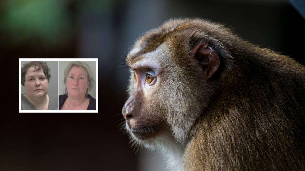 Sadistic women jailed for paying to see monkeys tortured