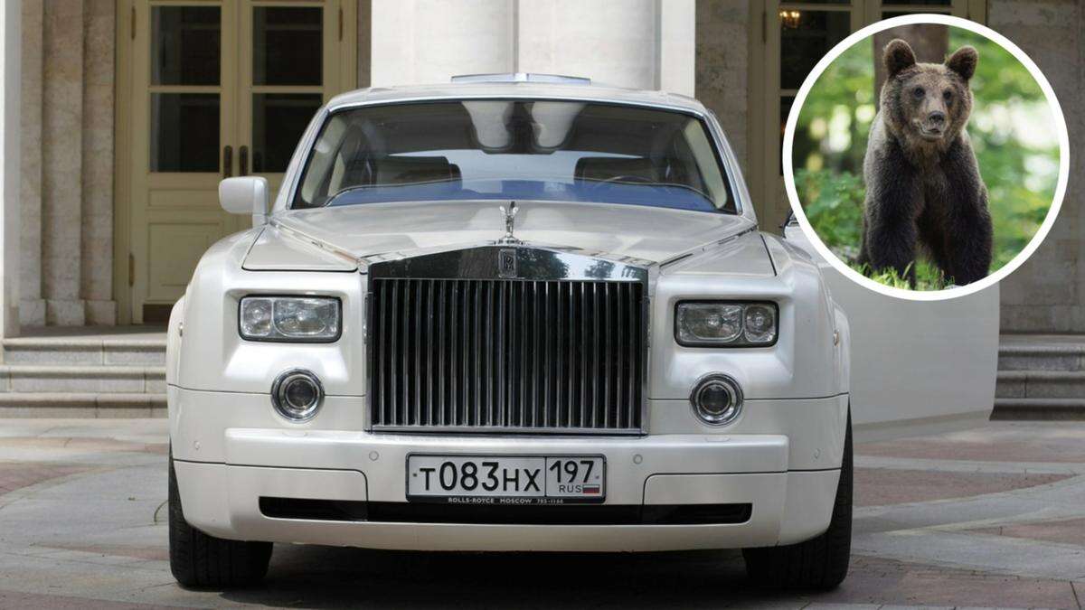 Strange twist after ‘bear’ shreds Rolls-Royce interior