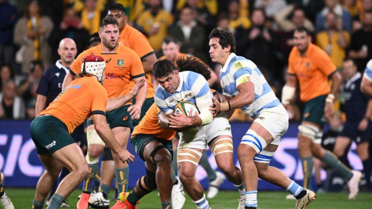 Pablo Matera back for Pumas to take on Ireland in Test