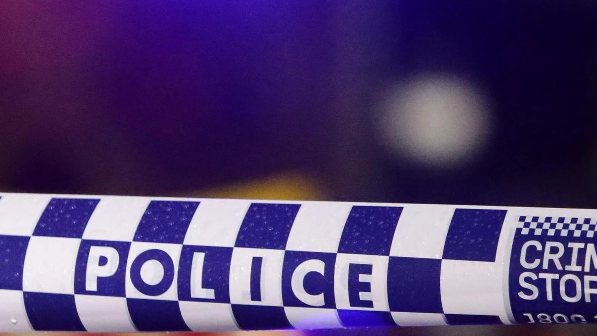 Probe into alleged wild brawl outside pub