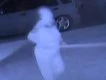 Woman defends home with walking stick